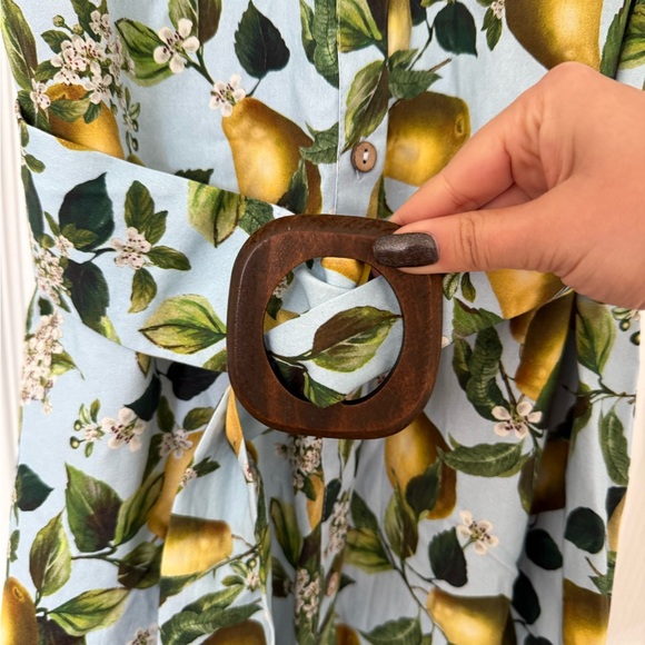 NWT Zara Fruit Print Midi Dress - Picture 4 of 5